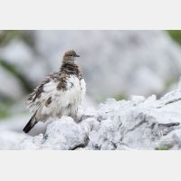 4724 x 3149_Px _RM_130811_MG_0367.jpg