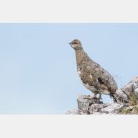 4734 x 3156_Px _RM_130812_MG_1189.jpg