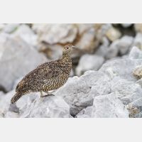 4804 x 3202_Px _RM_130811_MG_0626.jpg