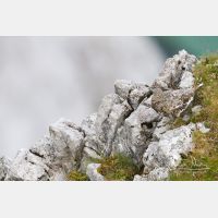 4813 x 3208_Px _RM_130812_MG_1115.jpg