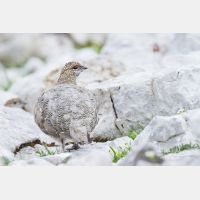 4833 x 3222_Px _RM_130811_MG_0316.jpg