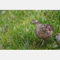 4848 x 3232_Px _RM_130812_MG_1202.jpg