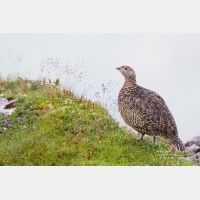 4852 x 3234_Px _RM_130812_MG_1271.jpg