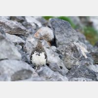 4853 x 3235_Px _RM_130812_MG_0916.jpg