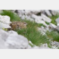 4869 x 3246_Px _RM_130811_MG_0806.jpg