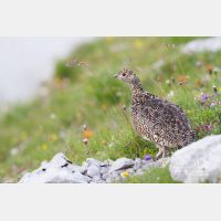 4930 x 3286_Px _RM_130811_MG_0757.jpg