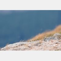 4999 x 3333_Px _RM_160919_MG_8621.jpg