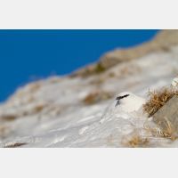 5031 x 3354_Px _RM_131228_MG_9898.jpg