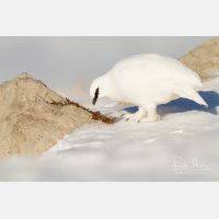 5051 x 3367_Px _RM_131228_MG_0064.jpg