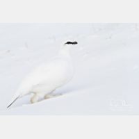 5074 x 3382_Px _RM_131228_MG_9579_b.jpg