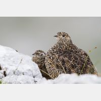 5087 x 3391_Px _RM_130811_MG_0597.jpg