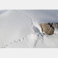 5087 x 3391_Px _RM_131228_MG_8292.jpg