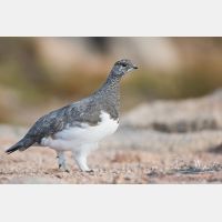 5129 x 3420_Px _RM_160919_MG_8430.jpg