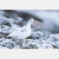 5152 x 3435_Px _RM_141215_MG_2620.jpg