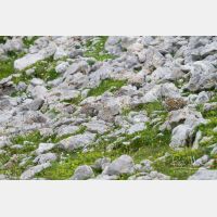 5184 x 3456_Px _RM_130811_MG_0425.jpg