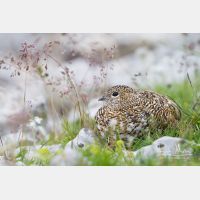 5184 x 3456_Px _RM_130811_MG_0447.jpg