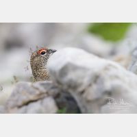 5184 x 3456_Px _RM_130811_MG_0465.jpg