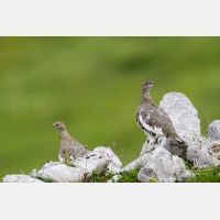 5184 x 3456_Px _RM_130811_MG_0494.jpg