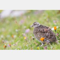 5184 x 3456_Px _RM_130811_MG_0745.jpg