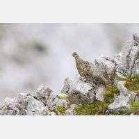 5184 x 3456_Px _RM_130812_MG_1133.jpg