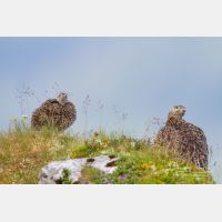 5184 x 3456_Px _RM_130812_MG_1334.jpg