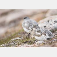 5216 x 3478_Px _RM_160919_MG_8690.jpg