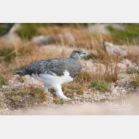 5472 x 3648_Px _RM_160919_MG_8422.jpg