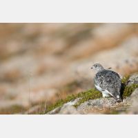 5472 x 3648_Px _RM_160919_MG_8507.jpg