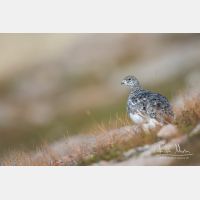 5472 x 3648_Px _RM_160919_MG_8561.jpg