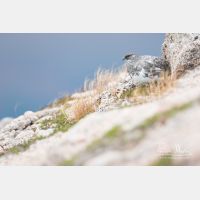 5472 x 3648_Px _RM_160919_MG_8632.jpg