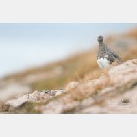 5472 x 3648_Px _RM_160919_MG_8635.jpg