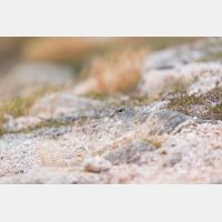 5472 x 3648_Px _RM_160919_MG_8654.jpg