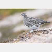 5472 x 3648_Px _RM_160919_MG_8671.jpg