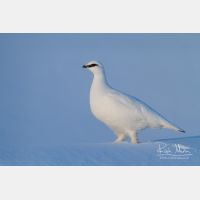 5512 x 3675_Px _RM_131228_MG_0277_b.jpg