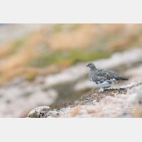 9916 x 6610_Px _RM_160919_MG_8673-Pano.jpg