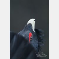 2212 x 3318_Px _RM_090419_MG_1693.jpg