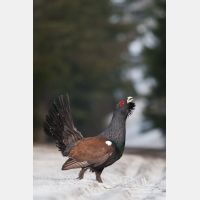 2278 x 3416_Px _RM_090419_MG_2196.jpg