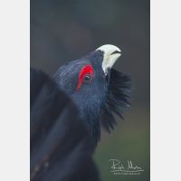 2336 x 3504_Px _RM_090419_MG_1698.jpg