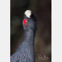 2336 x 3504_Px _RM_090419_MG_1996.jpg