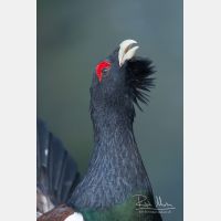 2336 x 3504_Px _RM_090419_MG_2007.jpg