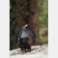 2336 x 3504_Px _RM_090419_MG_2851.jpg