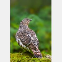 2400 x 3599_Px _RM_100914_MG_6825_b-2.jpg