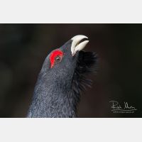 3110 x 2074_Px _RM_090419_MG_1982.jpg