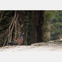 3171 x 2114_Px _RM_090419_MG_2717.jpg