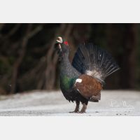 3242 x 2161_Px _RM_090419_MG_2312.jpg