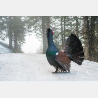 3285 x 2190_Px _RM_090419_MG_1809.jpg