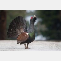 3316 x 2210_Px _RM_090419_MG_2069.jpg