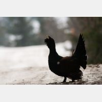 3331 x 2221_Px _RM_090419_MG_2679.jpg