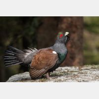 3342 x 2228_Px _RM_090419_MG_2885.jpg