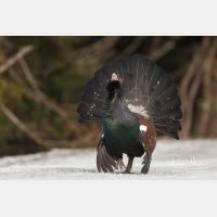 3373 x 2249_Px _RM_090419_MG_2327.jpg